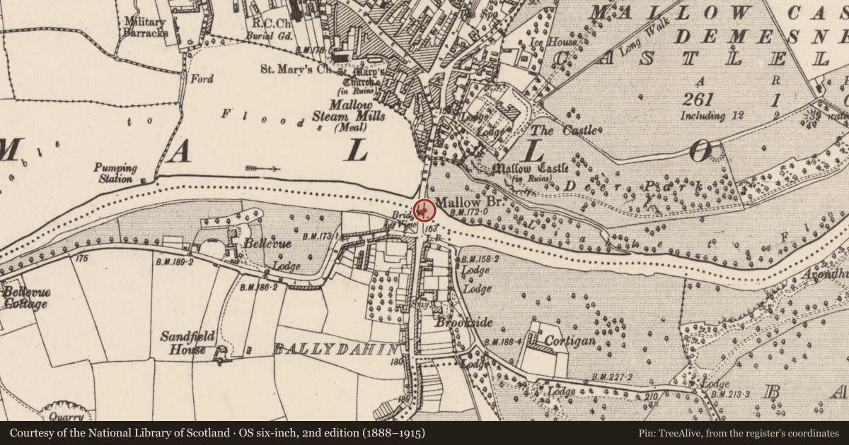 Ordnance Survey six-inch map, 2nd edition (1888–1915) covering the location of Bridge, Ballydahin, Castlelands, County Cork, with a pin at the register's coordinates