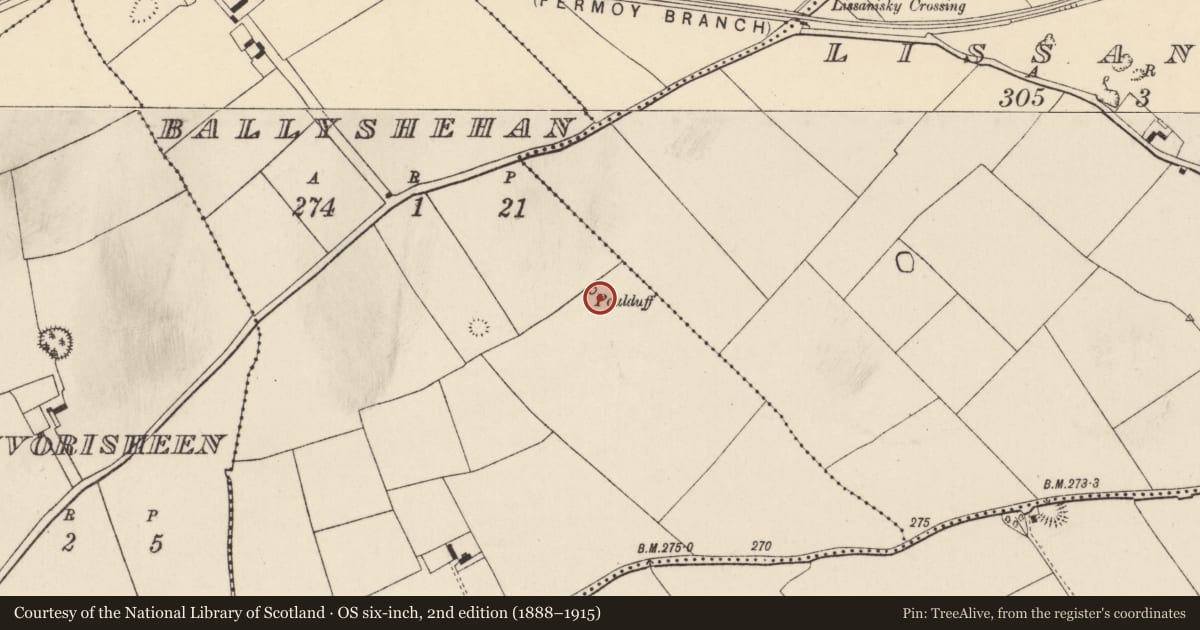 Ordnance Survey six-inch map, 2nd edition (1888–1915) covering the location of Fulacht fia, Ballyshehan, County Cork, with a pin at the register's coordinates