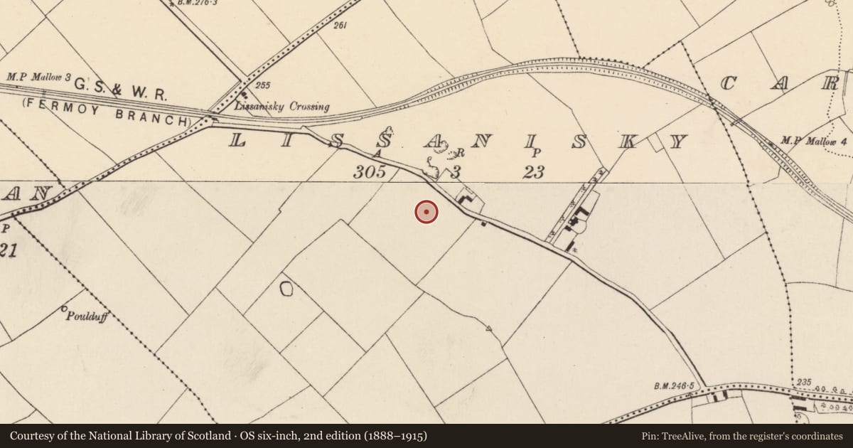Ordnance Survey six-inch map, 2nd edition (1888–1915) covering the location of Fulacht fia, Lissanisky, County Cork, with a pin at the register's coordinates