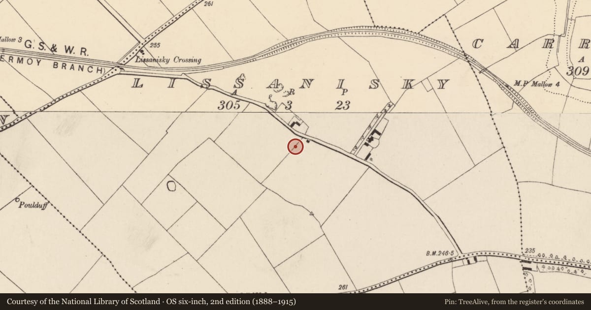 Ordnance Survey six-inch map, 2nd edition (1888–1915) covering the location of Fulacht fia, Lissanisky, County Cork, with a pin at the register's coordinates