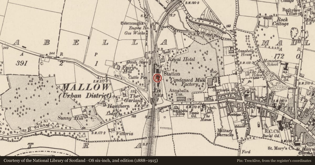 Ordnance Survey six-inch map, 2nd edition (1888–1915) covering the location of Railway station, Annabella, Part of, County Cork, with a pin at the register's coordinates