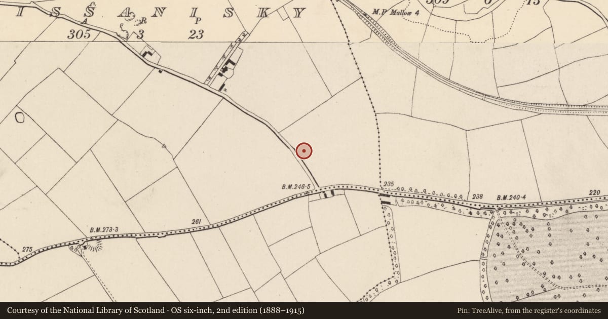 Ordnance Survey six-inch map, 2nd edition (1888–1915) covering the location of Fulacht fia, Lissanisky, County Cork, with a pin at the register's coordinates