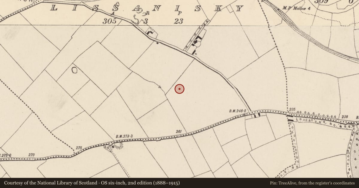 Ordnance Survey six-inch map, 2nd edition (1888–1915) covering the location of Fulacht fia, Lissanisky, County Cork, with a pin at the register's coordinates