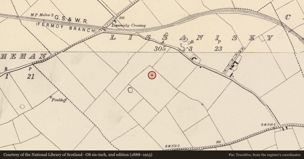 Ordnance Survey six-inch map, 2nd edition (1888–1915) covering the location of Fulacht fia, Lissanisky, County Cork, with a pin at the register's coordinates