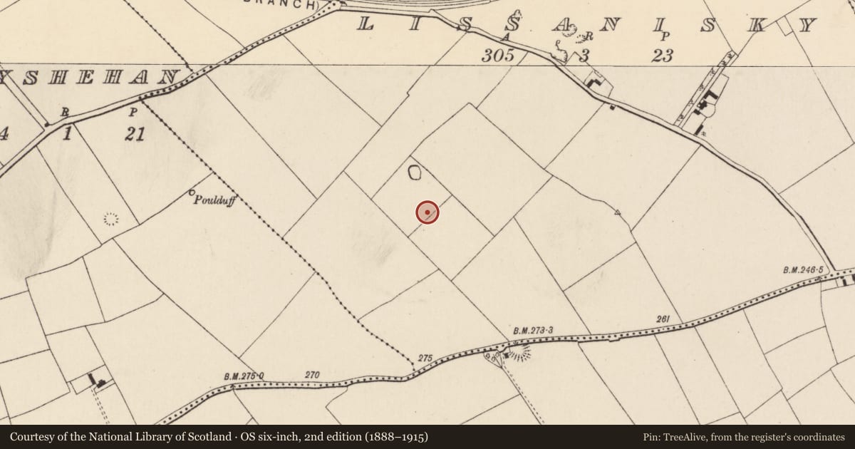 Ordnance Survey six-inch map, 2nd edition (1888–1915) covering the location of Fulacht fia, Lissanisky, County Cork, with a pin at the register's coordinates