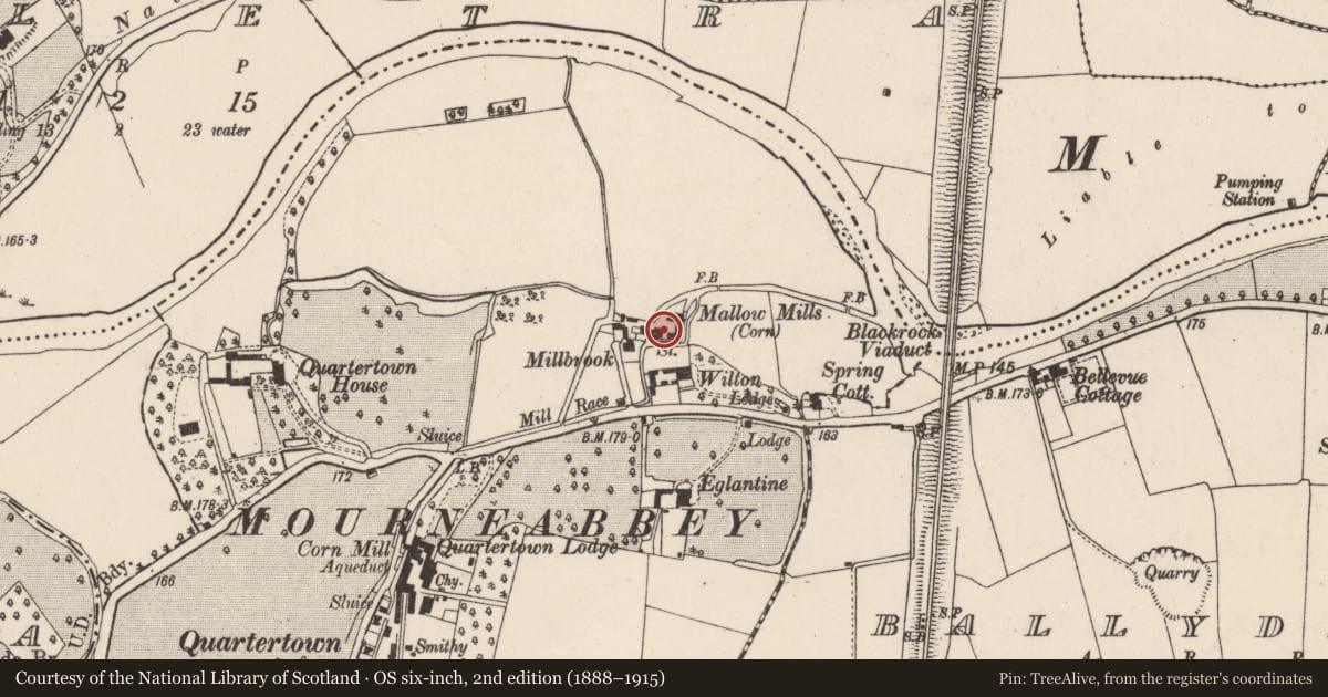 Ordnance Survey six-inch map, 2nd edition (1888–1915) covering the location of Mill - corn, Quartertown Lower, County Cork, with a pin at the register's coordinates
