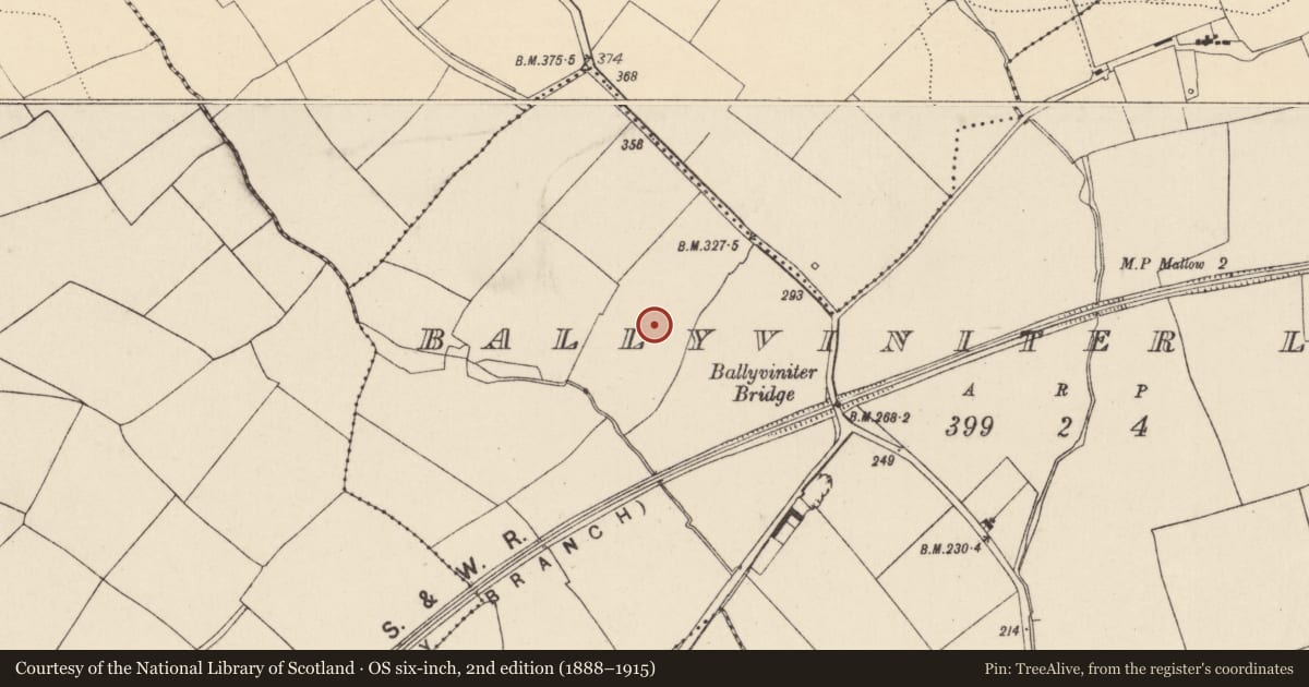 Ordnance Survey six-inch map, 2nd edition (1888–1915) covering the location of Enclosure, Ballyviniter Lower, County Cork, with a pin at the register's coordinates