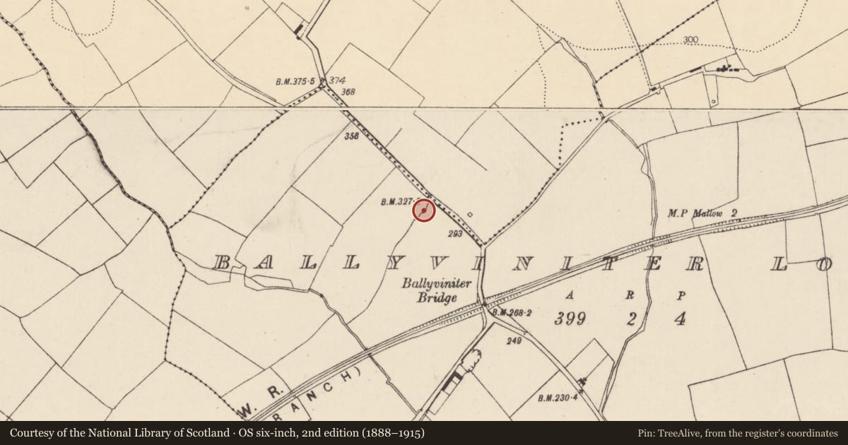 Ordnance Survey six-inch map, 2nd edition (1888–1915) covering the location of Enclosure, Ballyviniter Lower, County Cork, with a pin at the register's coordinates