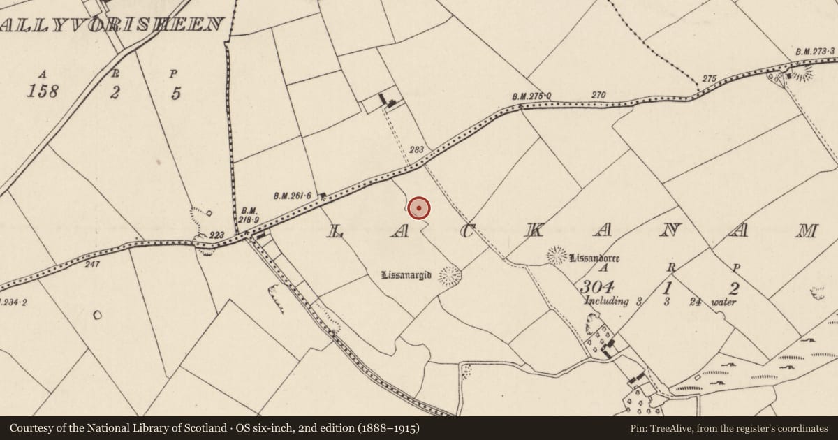 Ordnance Survey six-inch map, 2nd edition (1888–1915) covering the location of Ringfort - rath, Lackanamona, County Cork, with a pin at the register's coordinates
