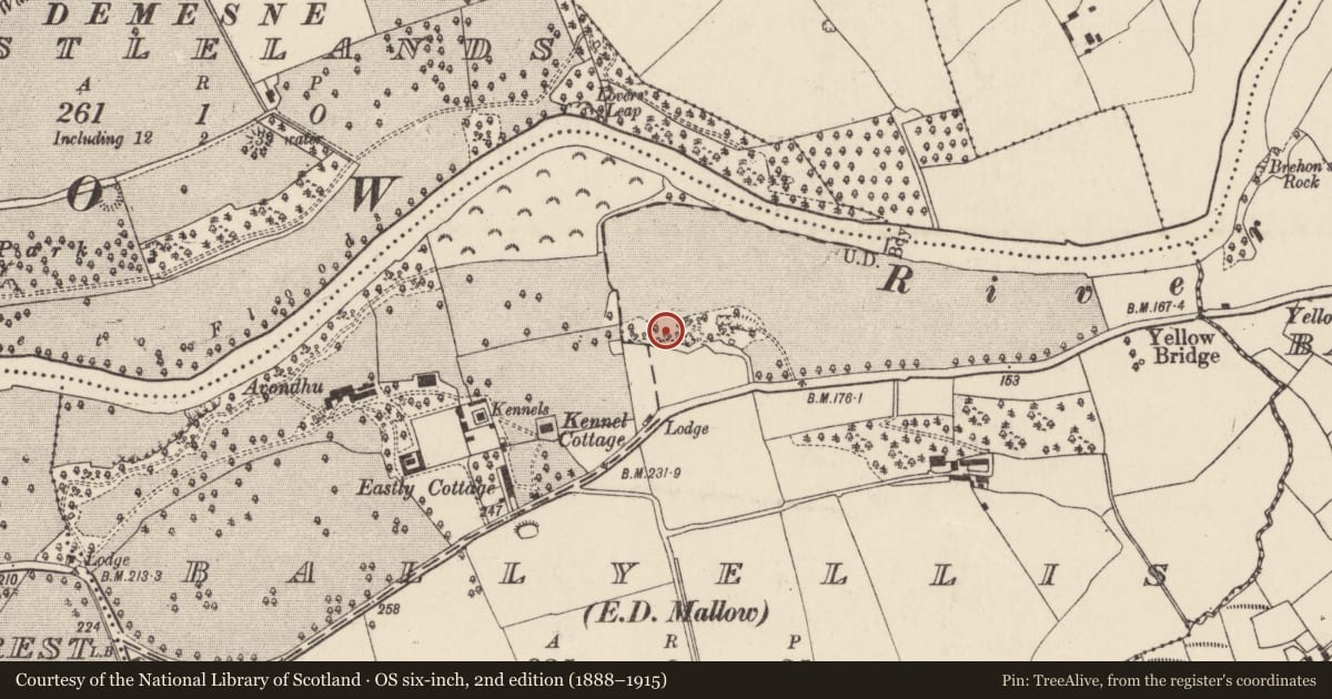 Ordnance Survey six-inch map, 2nd edition (1888–1915) covering the location of Kiln - lime, Ballyellis (Fermoy By., Mallow Par.), County Cork, with a pin at the register's coordinates
