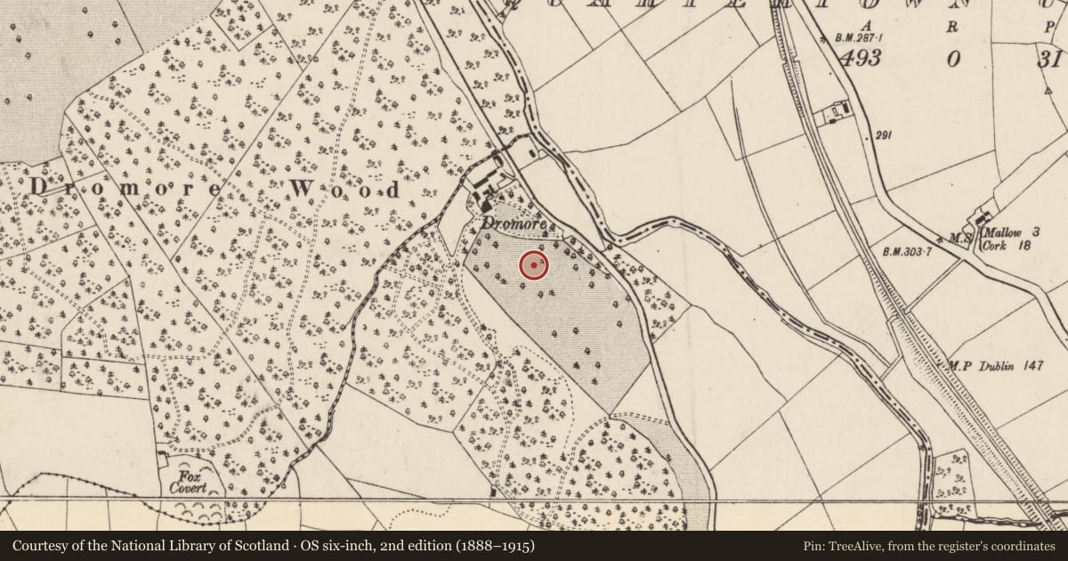 Ordnance Survey six-inch map, 2nd edition (1888–1915) covering the location of Burnt spread, Dromore North, County Cork, with a pin at the register's coordinates