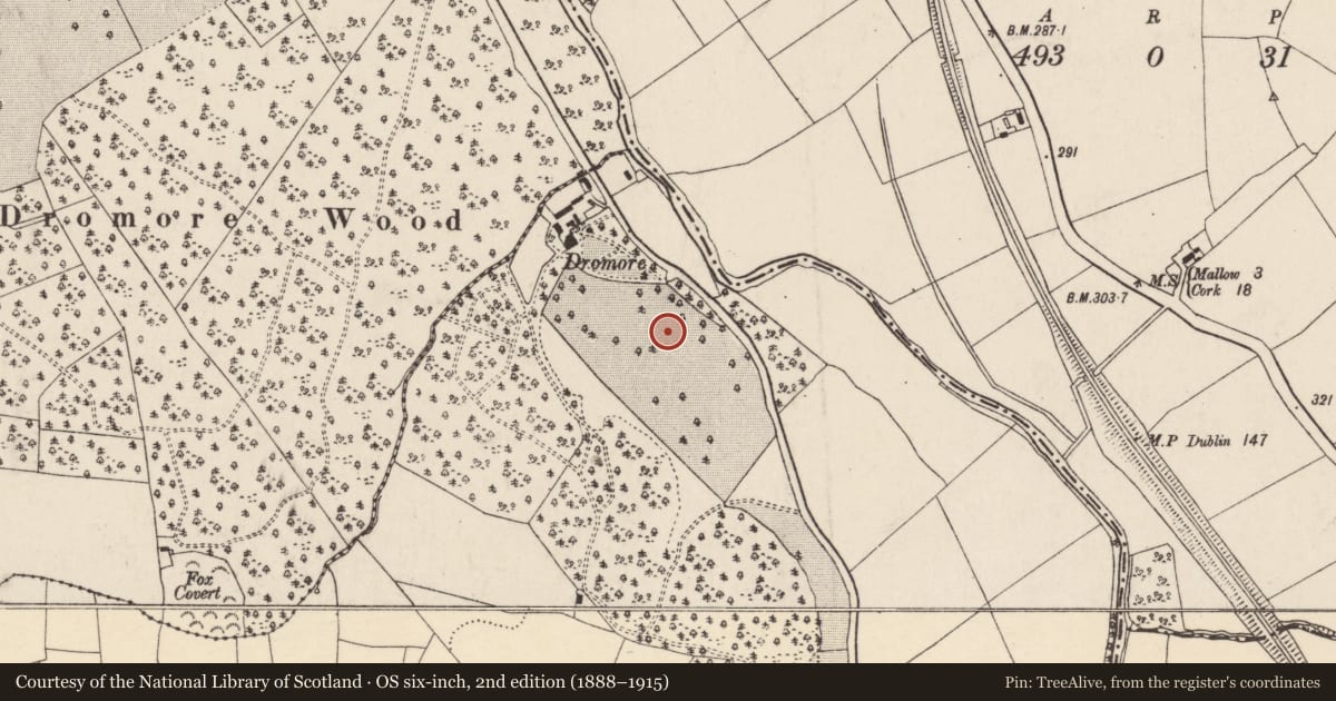 Ordnance Survey six-inch map, 2nd edition (1888–1915) covering the location of Burnt spread, Dromore North, County Cork, with a pin at the register's coordinates