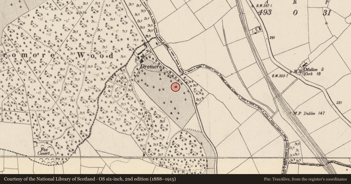 Ordnance Survey six-inch map, 2nd edition (1888–1915) covering the location of Burnt spread, Dromore North, County Cork, with a pin at the register's coordinates