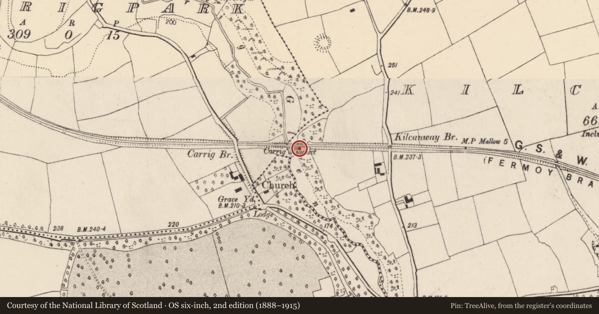 Ordnance Survey six-inch map, 2nd edition (1888–1915) covering the location of Railway bridge, Carrigpark, Kilcanway, County Cork, with a pin at the register's coordinates