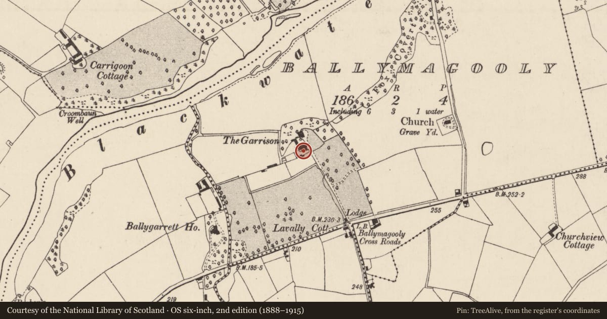 Ordnance Survey six-inch map, 2nd edition (1888–1915) covering the location of Castle - unclassified, Ballymagooly, County Cork, with a pin at the register's coordinates