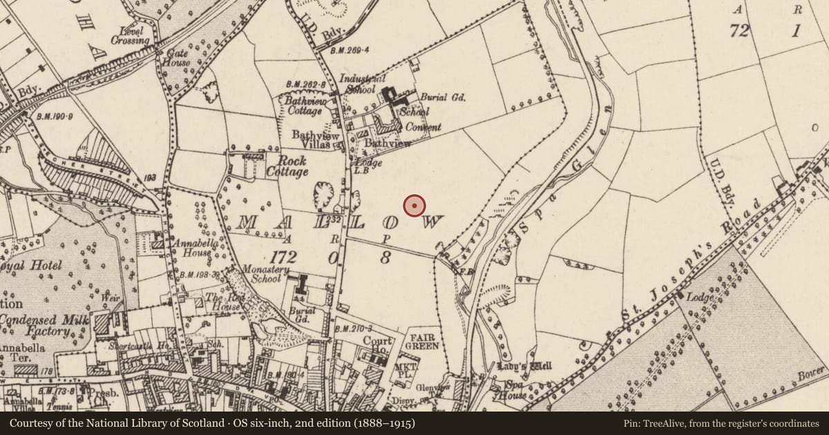 Ordnance Survey six-inch map, 2nd edition (1888–1915) covering the location of Standing stone, Mallow, County Cork, with a pin at the register's coordinates