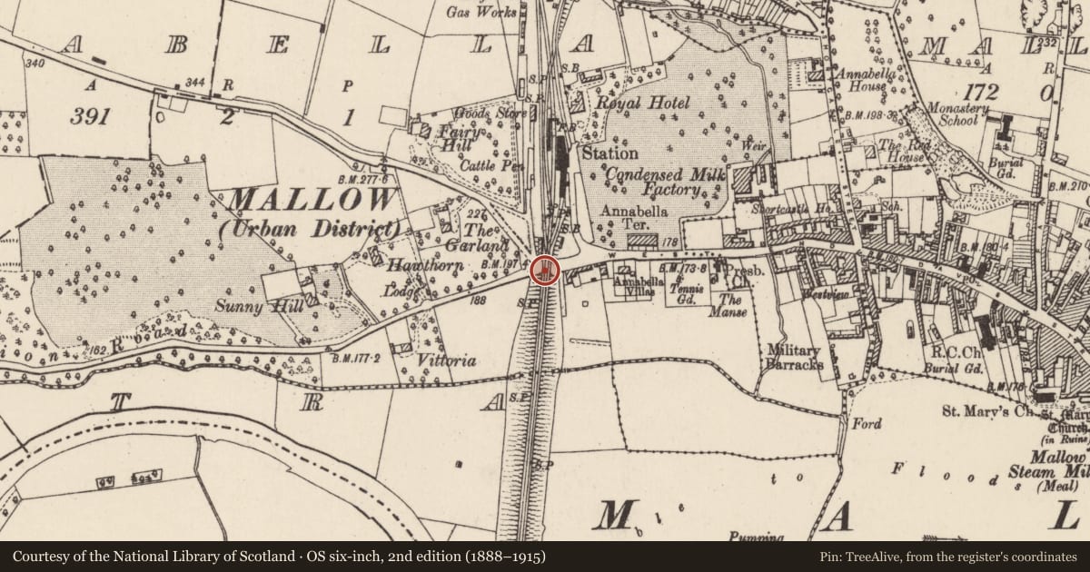 Ordnance Survey six-inch map, 2nd edition (1888–1915) covering the location of Railway bridge, Annabella, Part of, County Cork, with a pin at the register's coordinates