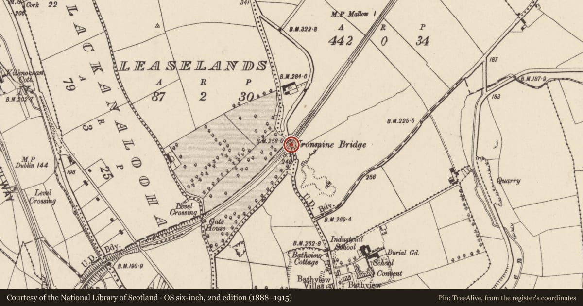 Ordnance Survey six-inch map, 2nd edition (1888–1915) covering the location of Railway bridge, Leaselands, Spaglen, County Cork, with a pin at the register's coordinates