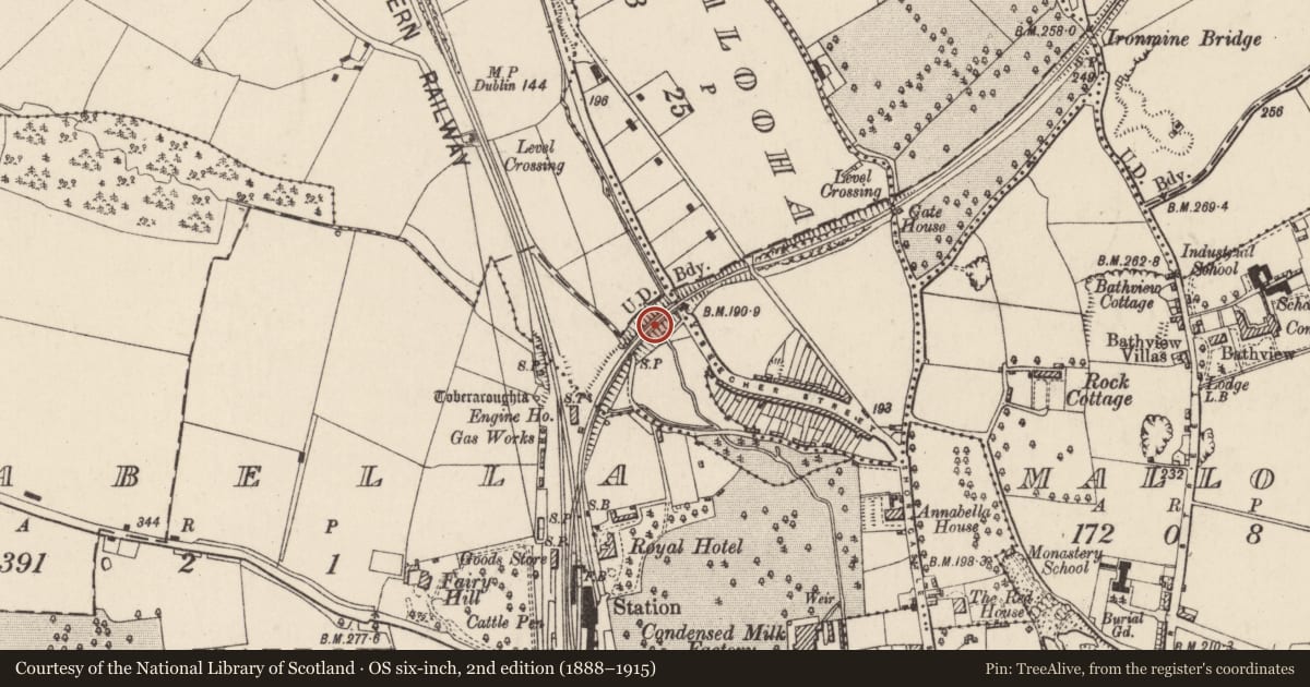 Ordnance Survey six-inch map, 2nd edition (1888–1915) covering the location of Railway bridge, County Cork, with a pin at the register's coordinates