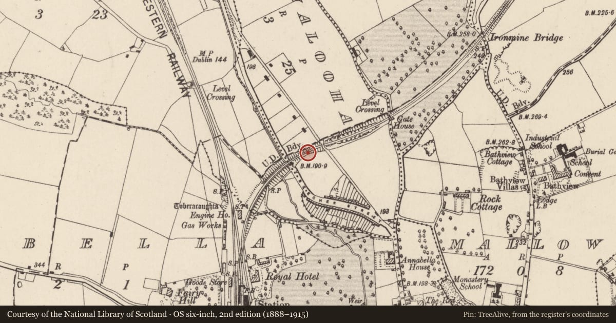 Ordnance Survey six-inch map, 2nd edition (1888–1915) covering the location of Railway bridge, Lackanalooha, County Cork, with a pin at the register's coordinates