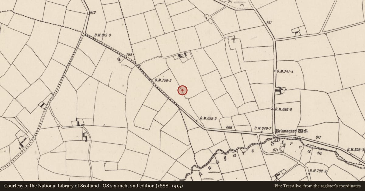 Ordnance Survey six-inch map, 2nd edition (1888–1915) covering the location of Standing stone, Rahan, County Cork, with a pin at the register's coordinates