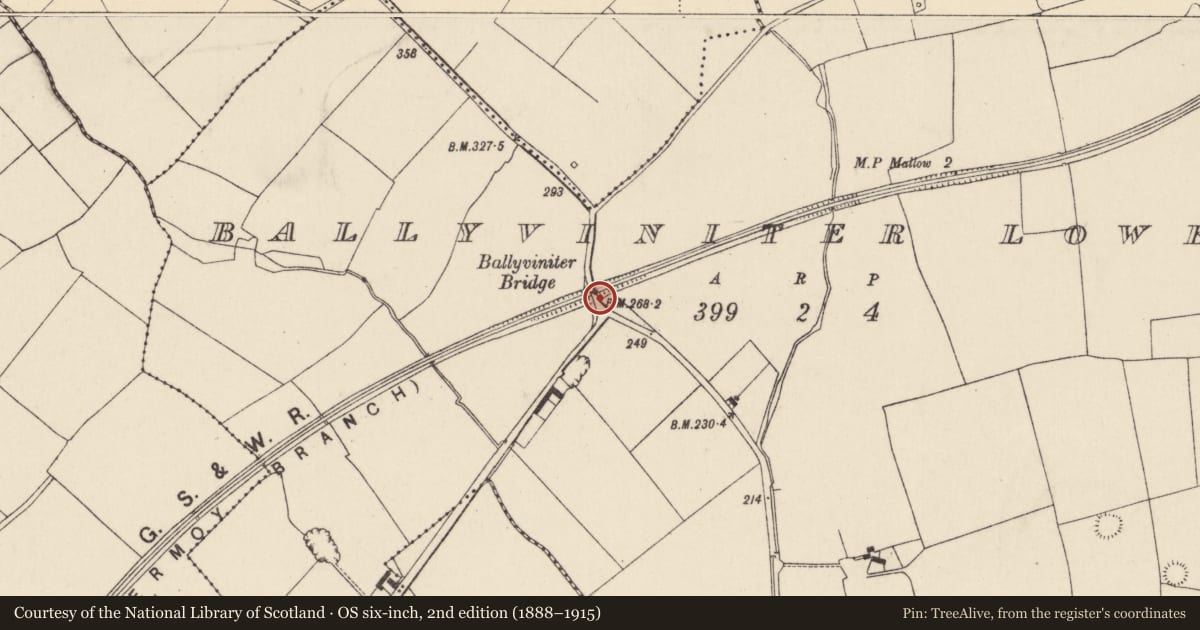 Ordnance Survey six-inch map, 2nd edition (1888–1915) covering the location of Railway bridge, Ballyviniter Lower, County Cork, with a pin at the register's coordinates