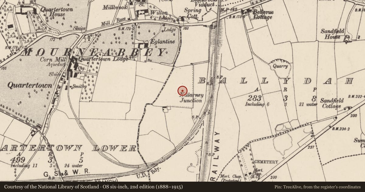Ordnance Survey six-inch map, 2nd edition (1888–1915) covering the location of Railway bridge, Ballydahin, County Cork, with a pin at the register's coordinates