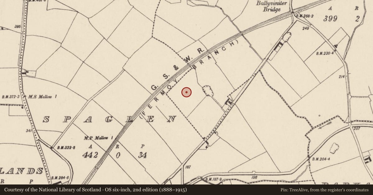 Ordnance Survey six-inch map, 2nd edition (1888–1915) covering the location of Industrial site, Ballyviniter Lower, County Cork, with a pin at the register's coordinates