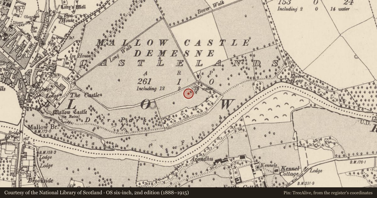 Ordnance Survey six-inch map, 2nd edition (1888–1915) covering the location of Excavation - miscellaneous, Castlelands, County Cork, with a pin at the register's coordinates