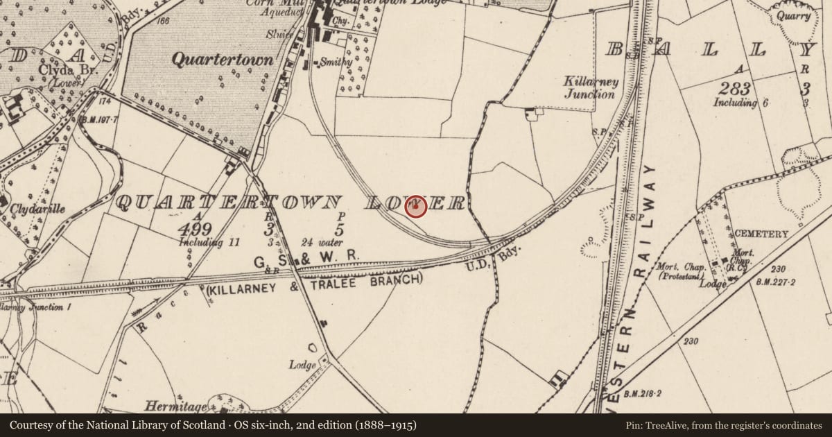 Ordnance Survey six-inch map, 2nd edition (1888–1915) covering the location of Sheela-na-gig (present location), Quartertown Lower, County Cork, with a pin at the register's coordinates