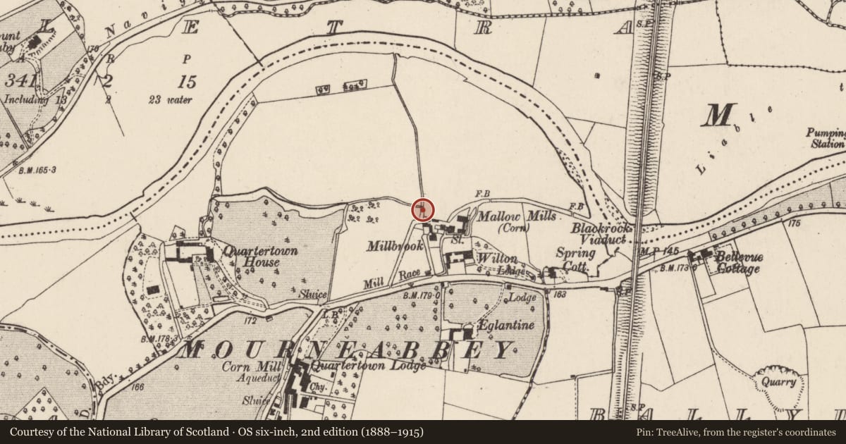 Ordnance Survey six-inch map, 2nd edition (1888–1915) covering the location of Metalworking site, County Cork, with a pin at the register's coordinates