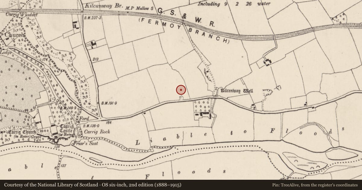 Ordnance Survey six-inch map, 2nd edition (1888–1915) covering the location of Enclosure, Kilcanway, County Cork, with a pin at the register's coordinates