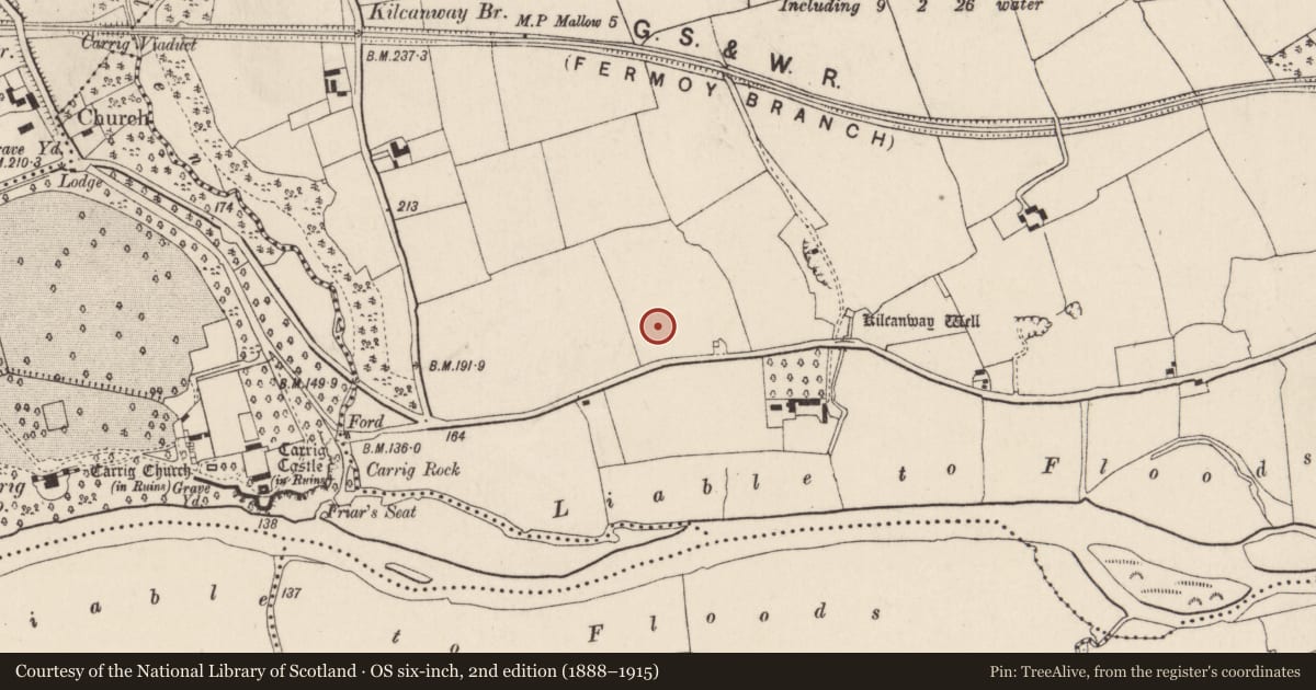 Ordnance Survey six-inch map, 2nd edition (1888–1915) covering the location of Enclosure, Kilcanway, County Cork, with a pin at the register's coordinates