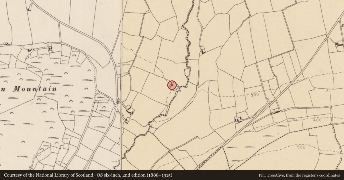 Ordnance Survey six-inch map, 2nd edition (1888–1915) covering the location of Enclosure, Rahan, County Cork, with a pin at the register's coordinates