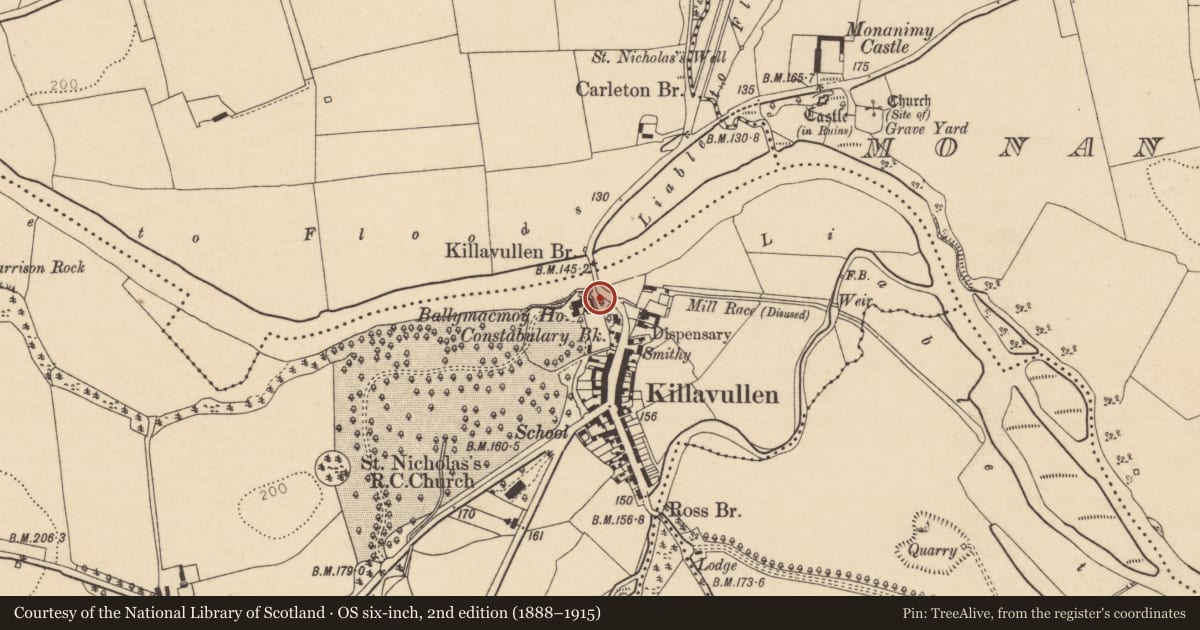 Ordnance Survey six-inch map, 2nd edition (1888–1915) covering the location of Cave, Ballymacmoy, County Cork, with a pin at the register's coordinates