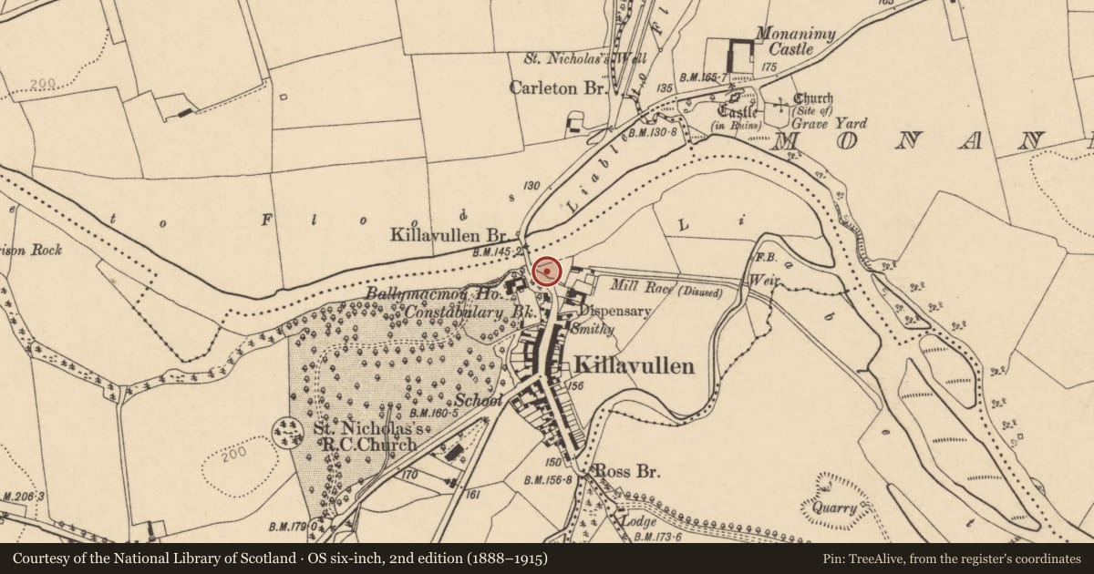 Ordnance Survey six-inch map, 2nd edition (1888–1915) covering the location of Cave, Ballymacmoy, County Cork, with a pin at the register's coordinates