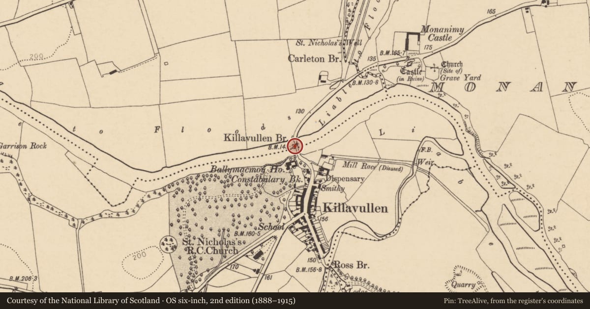 Ordnance Survey six-inch map, 2nd edition (1888–1915) covering the location of Bridge, Ballygriffin, Ballymacmoy, County Cork, with a pin at the register's coordinates