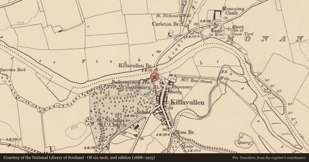 Ordnance Survey six-inch map, 2nd edition (1888–1915) covering the location of Cave, Ballymacmoy, County Cork, with a pin at the register's coordinates