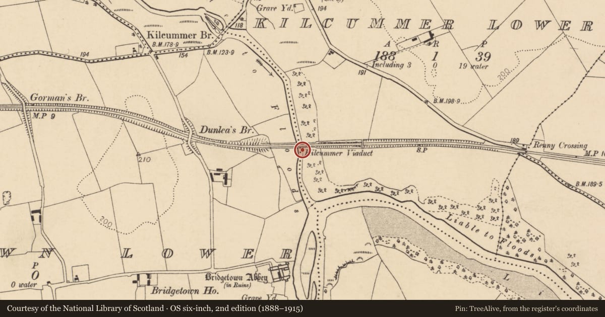 Ordnance Survey six-inch map, 2nd edition (1888–1915) covering the location of Railway bridge, Bridgetown Lower, Kilcummer Lower, County Cork, with a pin at the register's coordinates