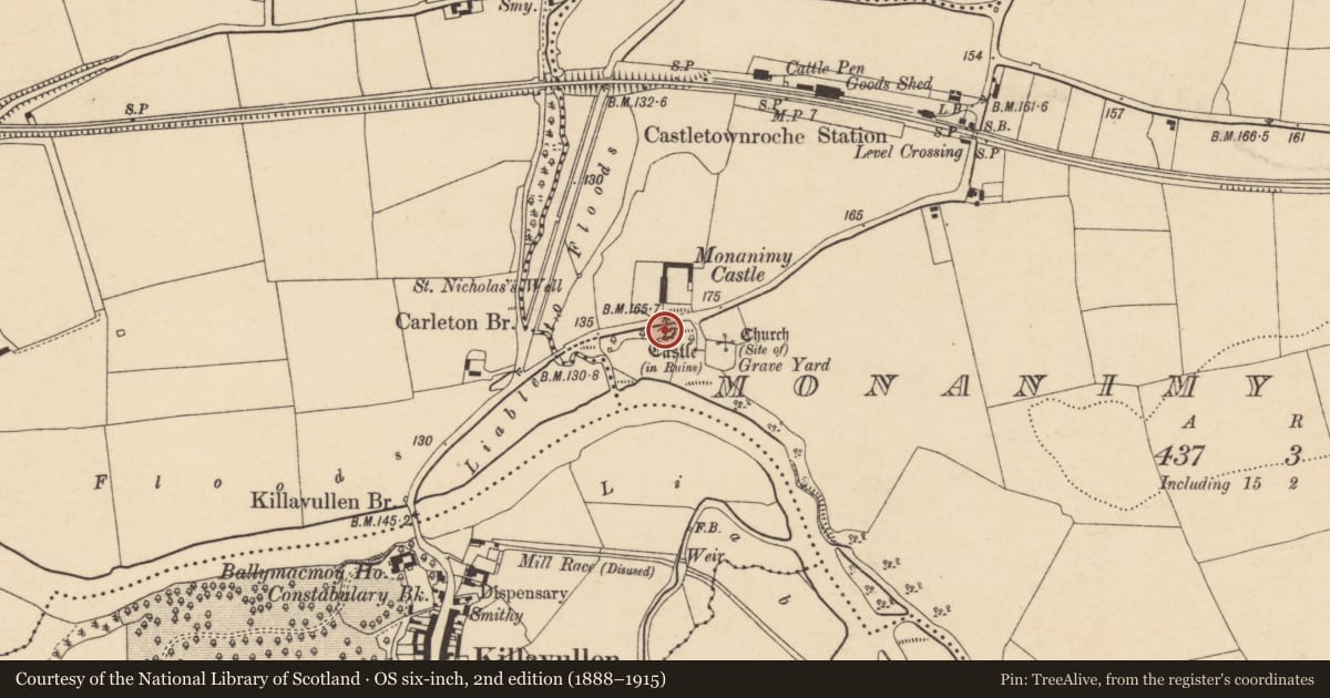 Ordnance Survey six-inch map, 2nd edition (1888–1915) covering the location of Castle - tower house, Monanimy Lower, County Cork, with a pin at the register's coordinates