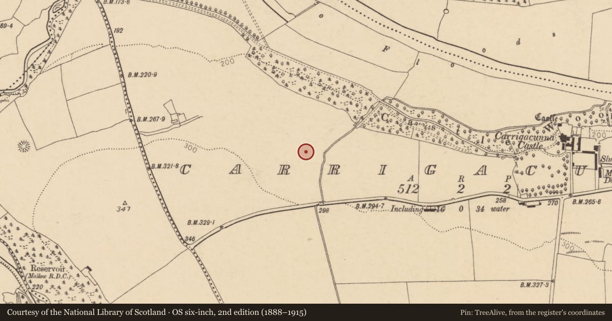 Ordnance Survey six-inch map, 2nd edition (1888–1915) covering the location of Fulacht fia, Carrigacunna, County Cork, with a pin at the register's coordinates