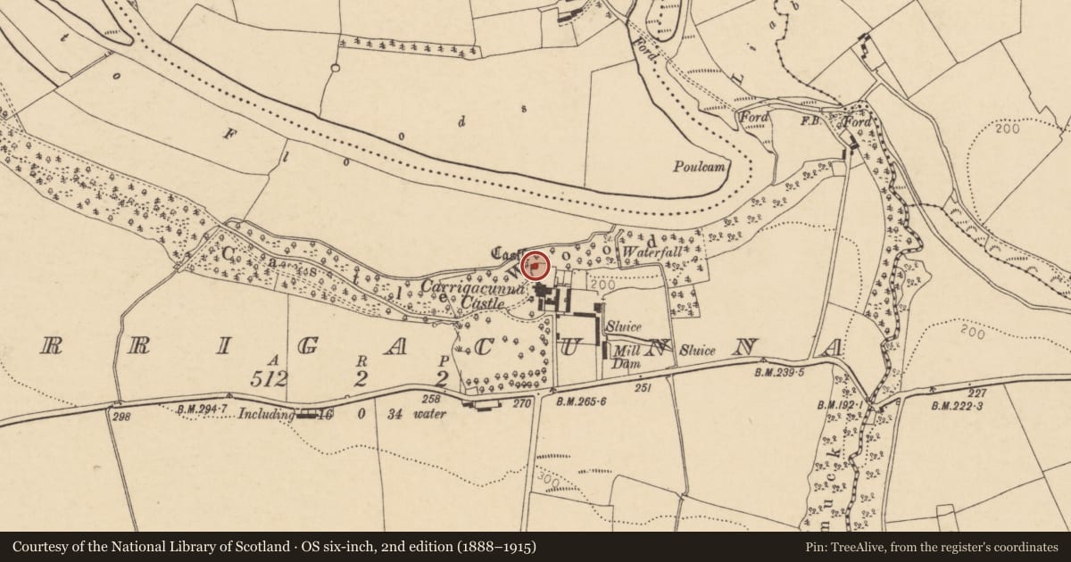 Ordnance Survey six-inch map, 2nd edition (1888–1915) covering the location of Castle - tower house, Carrigacunna, County Cork, with a pin at the register's coordinates
