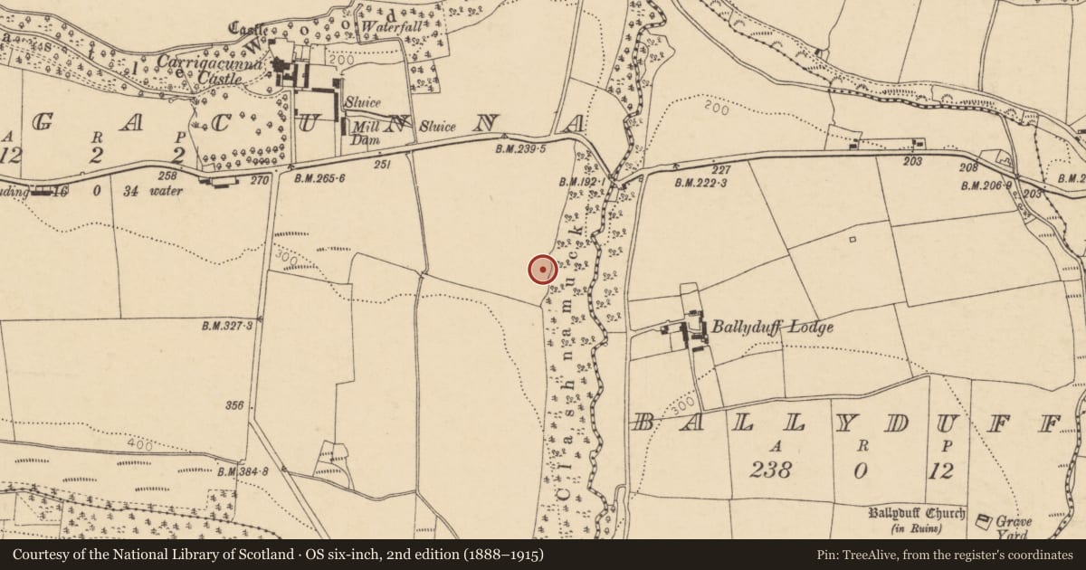 Ordnance Survey six-inch map, 2nd edition (1888–1915) covering the location of Enclosure, Carrigacunna, County Cork, with a pin at the register's coordinates