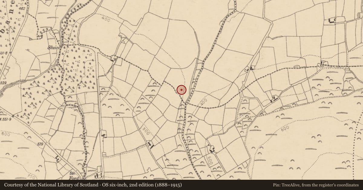 Ordnance Survey six-inch map, 2nd edition (1888–1915) covering the location of Ringfort - rath, Ballyduff, County Cork, with a pin at the register's coordinates