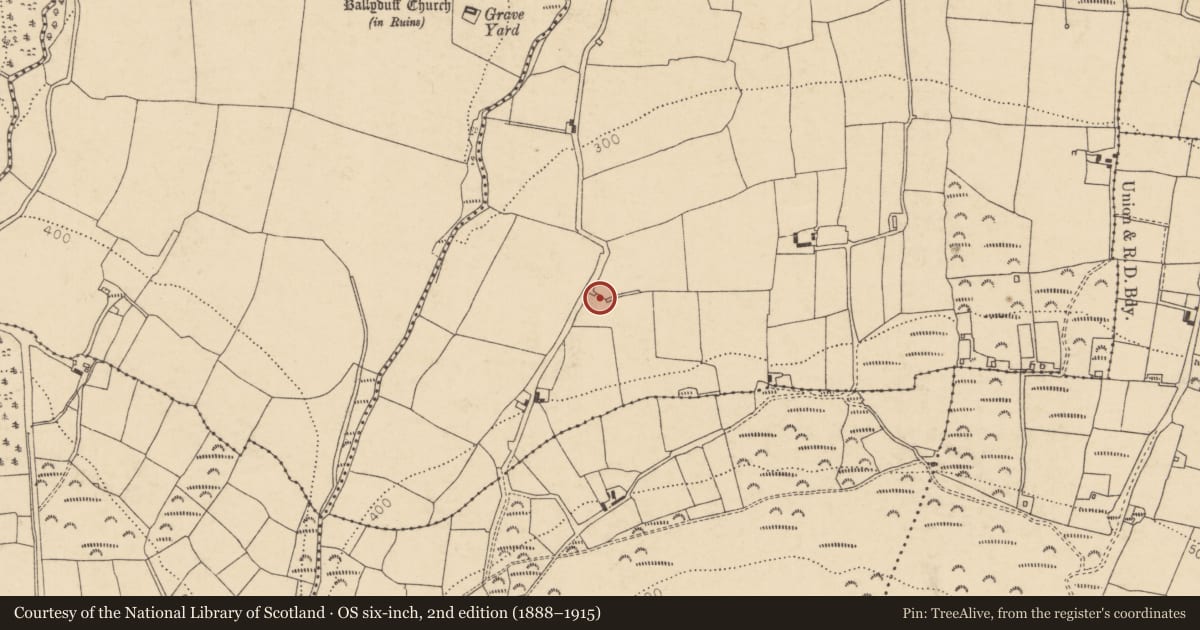 Ordnance Survey six-inch map, 2nd edition (1888–1915) covering the location of Kiln - lime, Ballincurrig, County Cork, with a pin at the register's coordinates