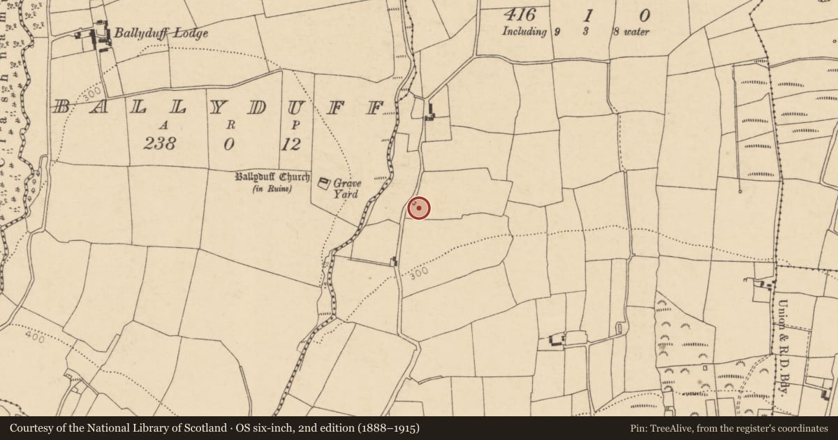 Ordnance Survey six-inch map, 2nd edition (1888–1915) covering the location of Kiln - lime, Ballincurrig, County Cork, with a pin at the register's coordinates