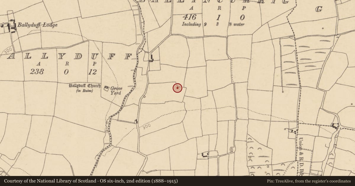 Ordnance Survey six-inch map, 2nd edition (1888–1915) covering the location of Enclosure, Ballincurrig, County Cork, with a pin at the register's coordinates