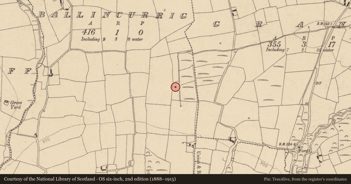 Ordnance Survey six-inch map, 2nd edition (1888–1915) covering the location of Fulacht fia, Ballincurrig, County Cork, with a pin at the register's coordinates