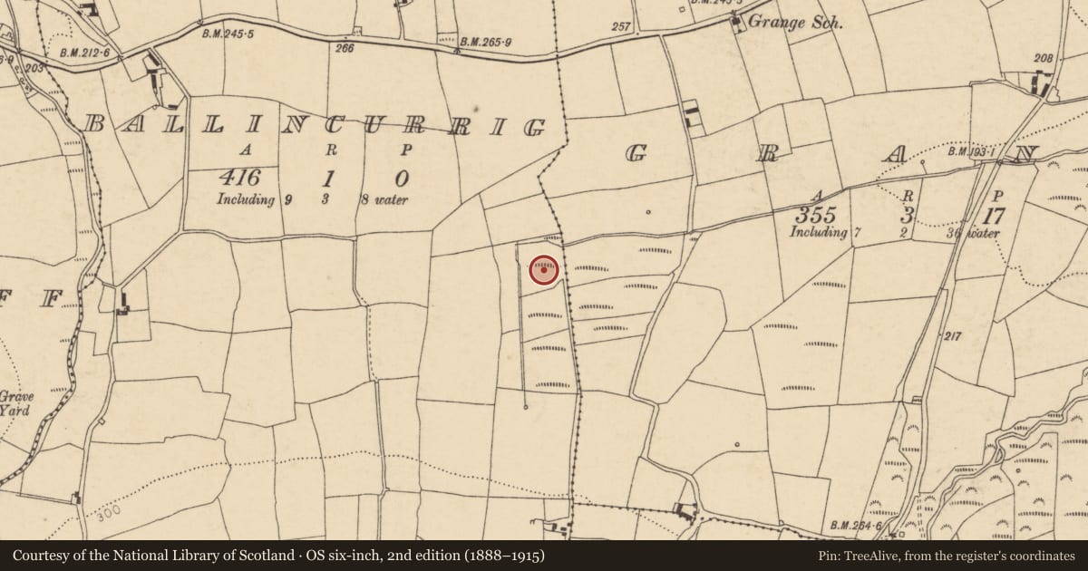 Ordnance Survey six-inch map, 2nd edition (1888–1915) covering the location of Fulacht fia, Ballincurrig, County Cork, with a pin at the register's coordinates