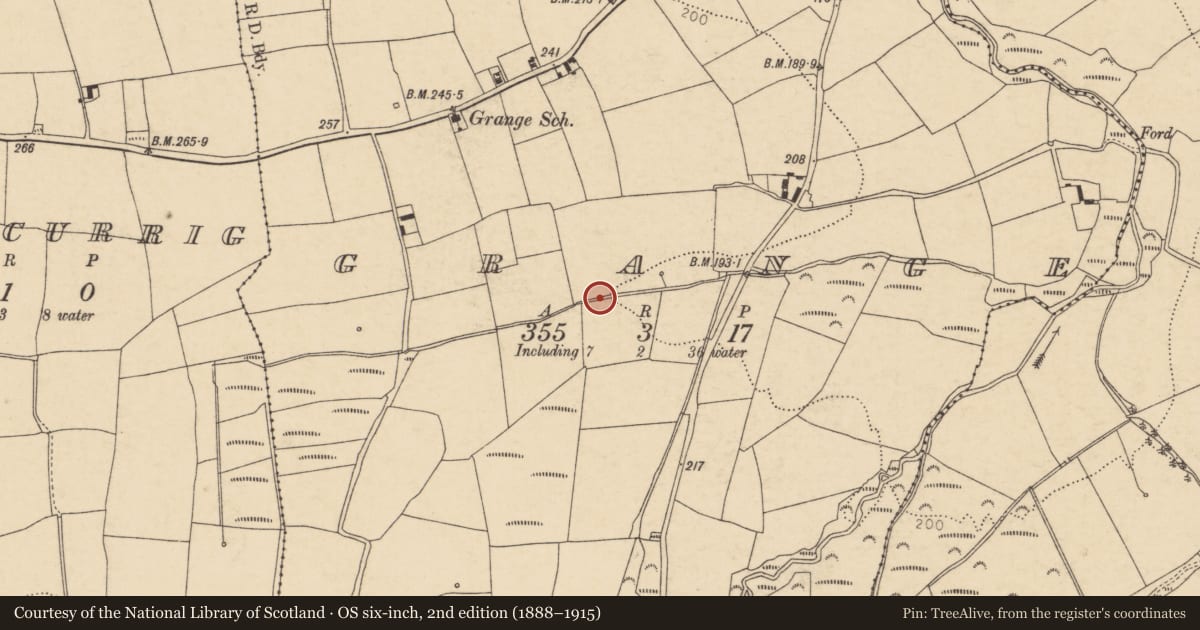 Ordnance Survey six-inch map, 2nd edition (1888–1915) covering the location of Fulacht fia, Grange, County Cork, with a pin at the register's coordinates